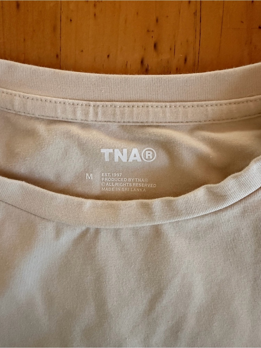 Aritzia t shirt